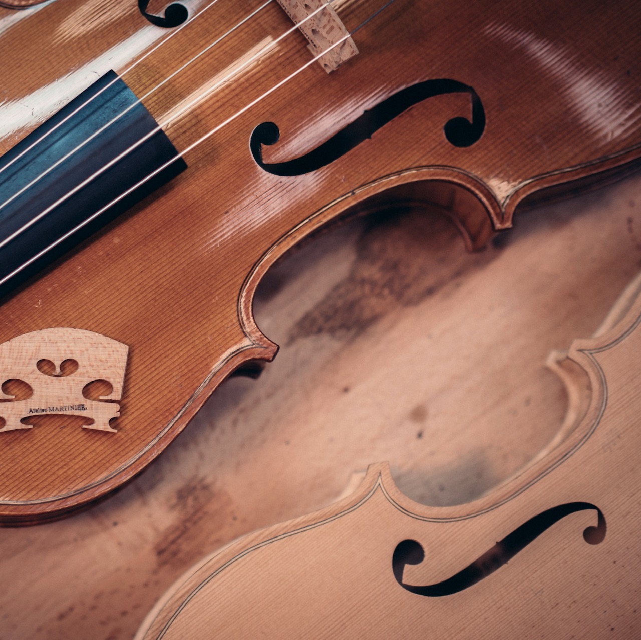 Atelier Martinier LUTHIERS